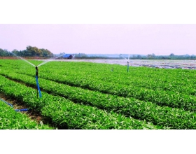 Thu hút nguồn vốn FDI vào lĩnh vực nông nghiệp công nghệ cao ở Việt Nam